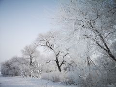 -雾凇岛