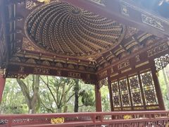 -汇龙潭