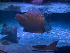 -沈阳海洋探索中心