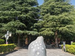 -崇圣寺三塔文化旅游区