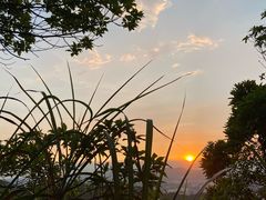 -阳台山森林公园