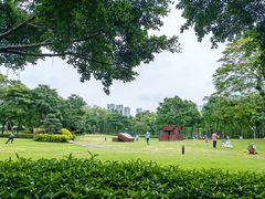 -顺峰山公园
