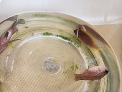 -小猫钓鱼海钓俱乐部(椰梦长廊店)