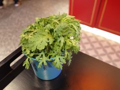 -蛙二爷美蛙火锅基地(温州总店)