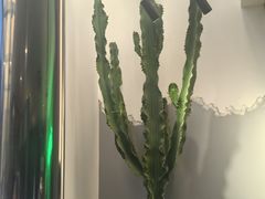 -范儿·嫂子烤肉·精致炭火烤肉(长治路店)