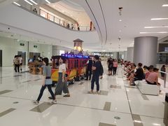 -TheRink大零溜冰场(IFS国金中心店)
