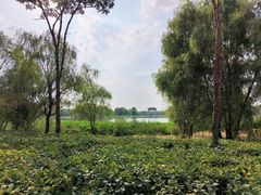 -长春北湖公园