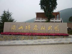 -铁山坪森林公园