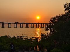 -宝安西湾红树林湿地公园