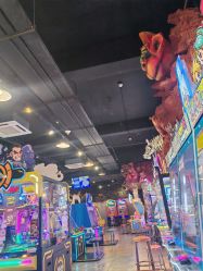 -卡通尼·Safari非洲探索乐园·生日会(金桥国际商业广场店)