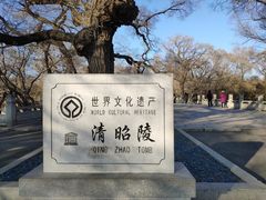 -北陵公园