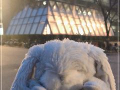 -农园餐厅(北京大学店)