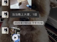-奈斯宠物医院·核磁CT·异宠专科·内镜(中南店)