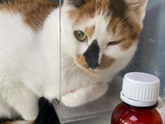 -柏萃动物医院·骨科·牙科