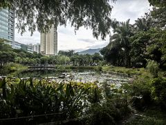 -四海公园(南山区)