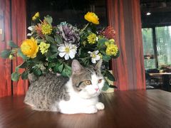 -IFIF 如果花園(宽厚里店)