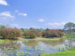 -中国科学院西双版纳热带植物园