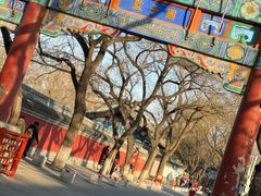 -北京国子监胡同