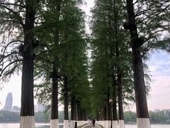 -东湖听涛景区