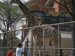 -灵玲国际马戏城