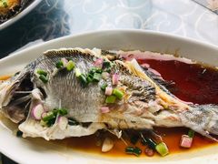 -七鲜渔港美食餐厅(巽寮湾海景店)