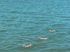 -东钱湖旅游度假区