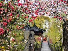 -南汇桃花村