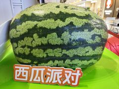 -北京华联购物中心(同成街店)