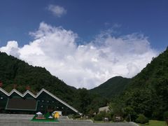 -牛背梁国家森林公园