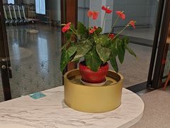 -康师傅私房牛肉面(申虹店)