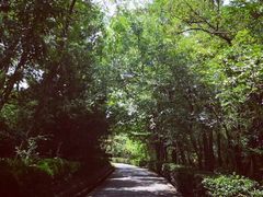 -贮水山儿童公园