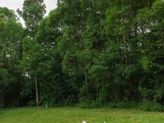 -白石龙音乐公园