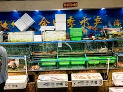 -朝陽市場