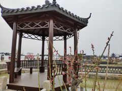 -灌云梅园景区