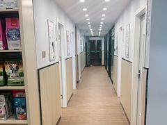 -瑞派紫金宠物医院24小时·骨科·中兽医·重症转诊中心(番禺大石院)
