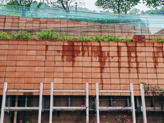 -香港大学