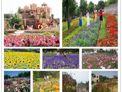 -松山湖南湖湾露营营地