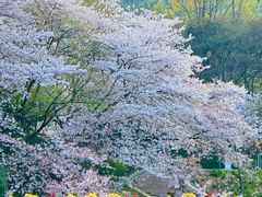 -浙江西子宾馆·牡丹厅