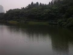 -深圳国际园林花卉博览园