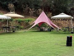 -桃源山庄·水蜜桃采摘·柴火鸡·烧烤团建(龙泉山店)