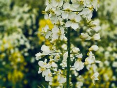 -中国天府农业博览园