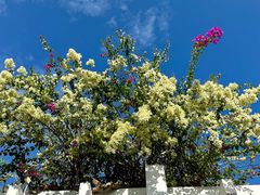 -三亚南山文化旅游区