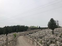 -原山国家森林公园