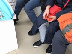 -纳吉亚猫专科动物诊疗中心(蒋宅口分院)