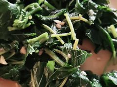 鱼香肉丝、山野菜-途肴·老农饭庄(百里峡店)