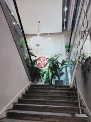 点击看大图 -重道造型