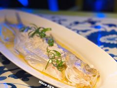 鸡汤江白条-桂满陇天书(南京德基旗舰店)