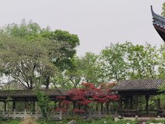 -西溪国家湿地公园