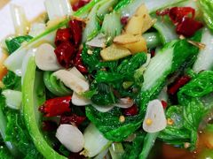 清炒毛白菜-马旭土鸡焖花卷·真域顺西域美食(天马大道店)