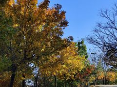 -鹫峰国家森林公园